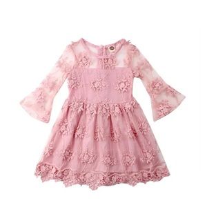 Little Girls Pink Lace Dress - Size 2 Toddlers
